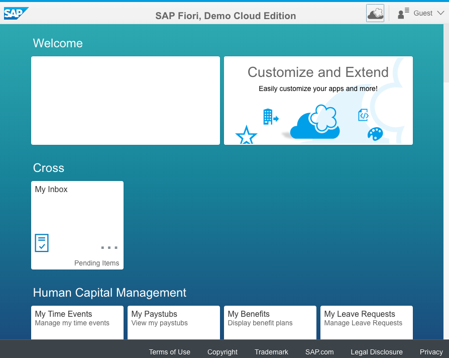 The SAP Fiori Homepage we will be running our implicit waits on.